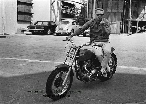 rare bird steve mcqueen.